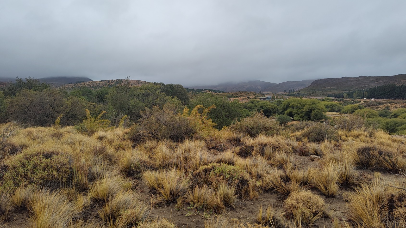 Lote en Venta