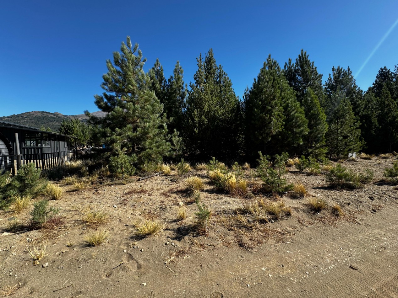 Lote en dos Valles / Planos aprobados
