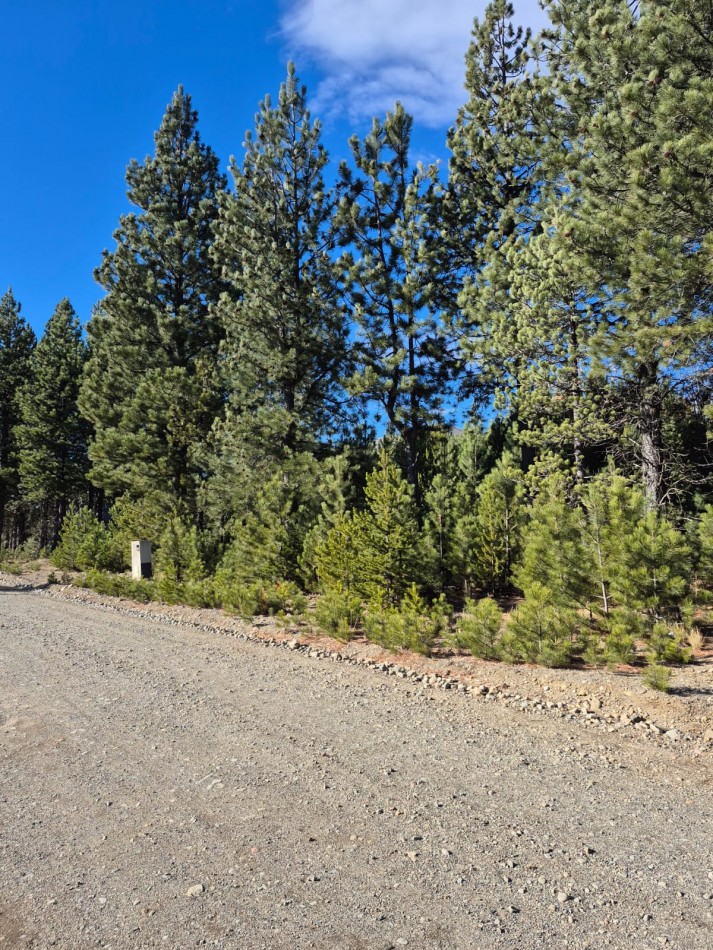 Lote en Club de campo Dos Valles