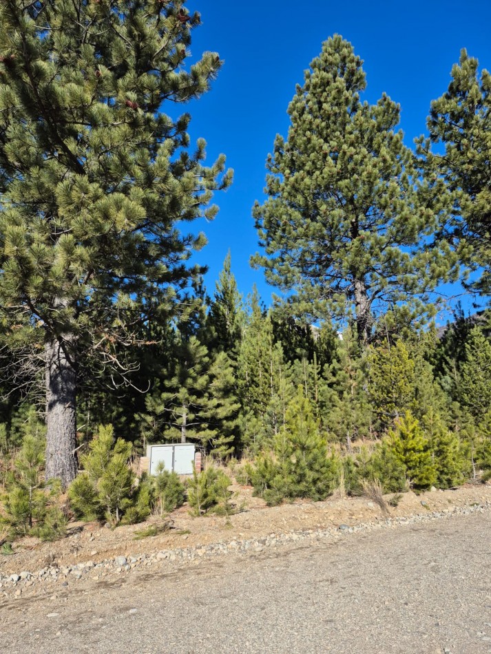Lote en Club de campo Dos Valles
