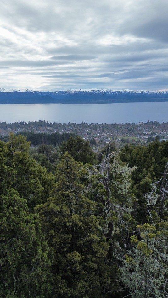Lote en Ladera Norte - Naturaleza, pendiente y vista al lago