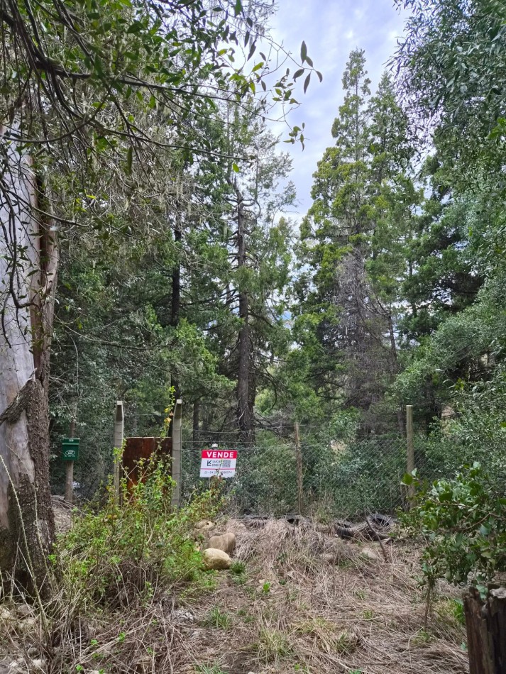 Lote en Ladera Norte - Naturaleza, pendiente y vista al lago