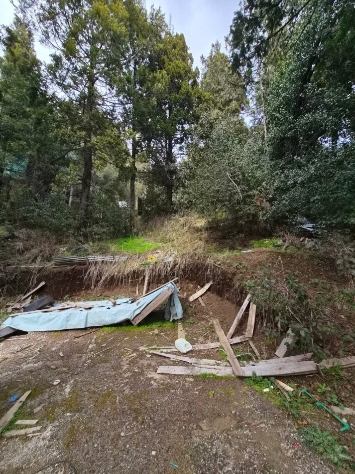 Lote en Ladera Norte - Naturaleza, pendiente y vista al lago