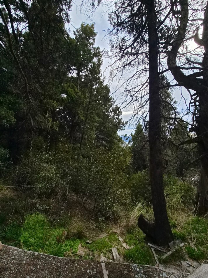 Lote en Ladera Norte - Naturaleza, pendiente y vista al lago