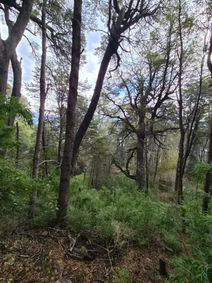 Lote en venta en Peninsula San Pedro | Naturaleza, privacidad y vistas al Nahuel Huapi
