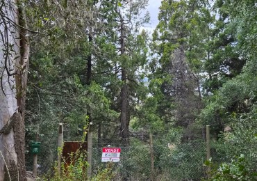 Lote en Ladera Norte - Naturaleza, pendiente y vista al lago